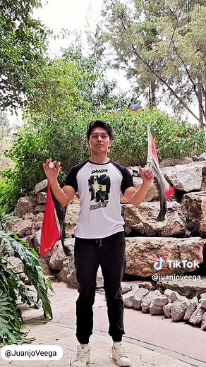 Aprende 4 Movimientos Básicos con Banderas