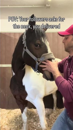 You asked for the neck crack, I delivered. 🦴💥 #asmr #horse #satisfying #horsephysio #neckcracking