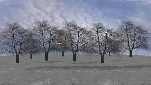 Weather Wise | Do robins migrate?