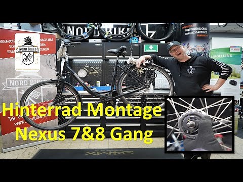 Hinterrad Nexus 7 & 8 Gang Ein und Ausbau. Schalteinheit montieren, Kette spannen. Nabenschaltung.