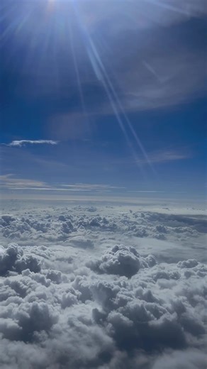 The Wandering Aviator on TikTok