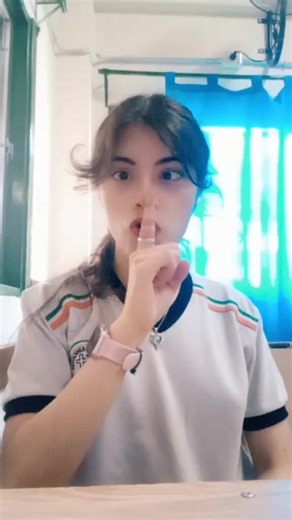 Warden Rap - Dann Bull's Minecraft Tune