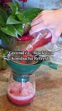 Green Tea to Black Tea Kombucha Refresh #weeklyreset #kombucha #fermentation #homemade #guthealth