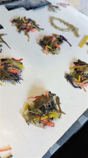 🔥 TNB 40 pc Panfish Packs! 🔥 #truenorthbaits #tnbpanfishpacks #fishing #supportsmallbusiness