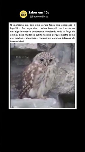 De calma a predadora em segundos #curiosidades