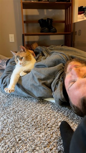 13K views · 734 reactions | Ada thinks this cat purrs weird 廊 #wobblycat #cerebellarhypoplasia #cutecat #calicocat #calico #catvideo #catsoffacebook #snoring | Adathecalicocat | Facebook