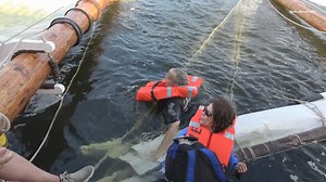 'I was never scared': Passenger aboard historic schooner captures video as it sank in Maine river