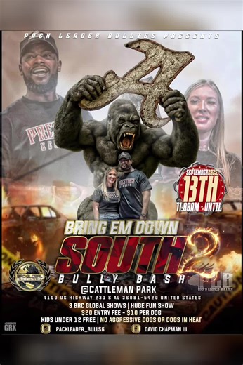 #brcglobal #brcglobalamericanbully #brcglobalcaninepedigrees #americanbully