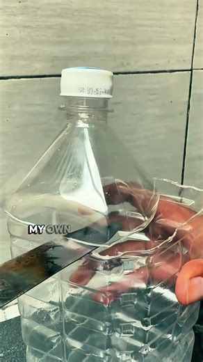 Olaf Wanders Off at Disneyland Paris