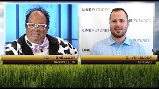 long-lean-hogs-live-cattle-ready-for-a-rally-oliver-sloup-scott-the-cow-guy-rfd-tv-blue-line ...