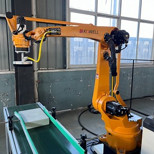 [Hot Item] Handling Palletizing Loading and Unloading Intelligent Industrial Robot