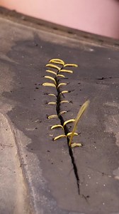 3.9M views · 982 reactions | Science, Tech and Universe on Reels | Facebook