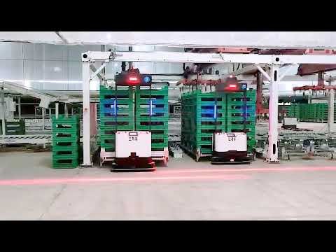 Automatic Pallet Handling Robot for Raising Industry - Forklift AMR