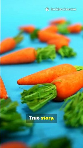 Top 3 Funny World War 2 Moments! #funny #war #history #fyp #fypシ #fypシ゚viral #historyfacts #nice