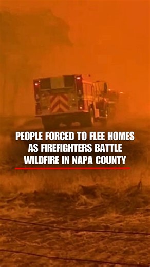 2.1M views · 26K reactions | Evacuation orders and warnings are in effect as a wildfire grows to more than 6,500 acres in California’s wine country. | Fox News | Facebook