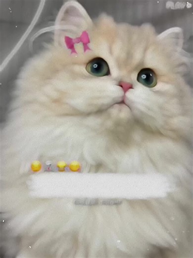 Humorous Poetry Moments for Cat Lovers