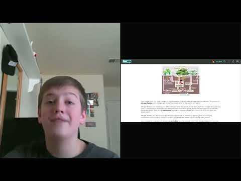 AP Environmental Science - Q&A: Cycles & Air Pollution