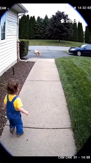 Ai In Life on Instagram: "Do you like this? 🤔🤩 Follow @ai.inlife #ViralReels #ForYou #CuteAnimals #KidsVideos #AIContent"