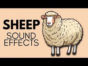 SHEEP SOUND EFFECTS #soundeffects