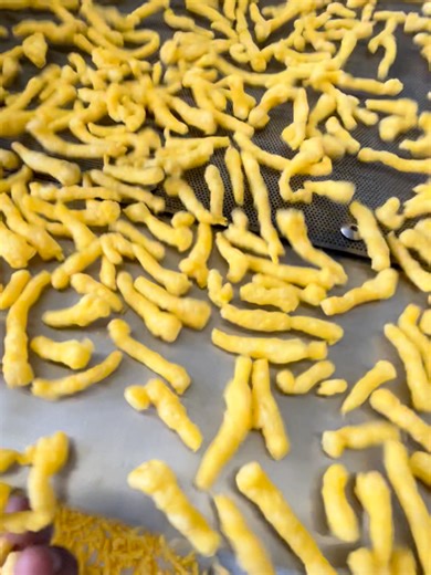 Cheetos Puffing Machinery Explained