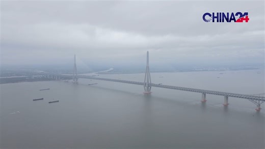 Check out this engineering marvel: the Changtai Yangtze River Bridge, the world's largest span cable-stayed bridge, has officially opened in Jiangsu Province. Stretching across the Yangtze, it connects Changzhou and Taizhou and cuts the travel time from 80 minutes to around 20. #LatestNews #ChinaInfrastructure #chinaconstruction #bridgeconstruction #bridge #latest | CGTN China24