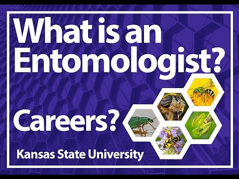 What is an Entomologist? and Careers in Entomology