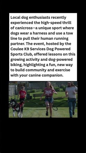 STOP Running ALONE! 🏃‍♀️💨 This Dog Sport Makes You FLY! #dog #news #shorts