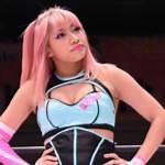 411MANIA | Various News: Hana Kimura Tribute Show to Stream on FITE TV, Kevin Von Erich Set for Upcoming Event, Wrestling From the Heartland Vol. 3 Available on DVD & Digital