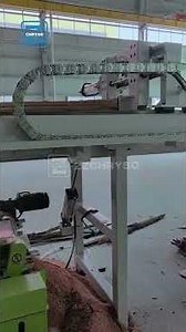 ZZCHRYSO Vertical Band Saw | Cutting Big Logs Easily!