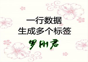 教你打印产品标签，一行数据生成多个标签。Excel和WPS通用