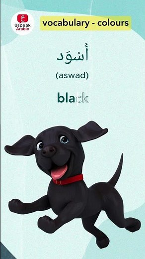 Colors in Arabic | Learn Essential Colors #arabic #arabiclanguage #learnarabic #speakarabic