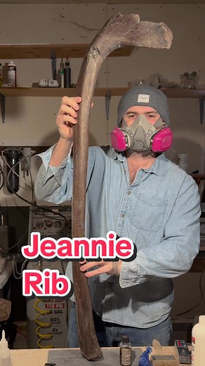 Discovering Jeannie: A Triceratops Skull Find