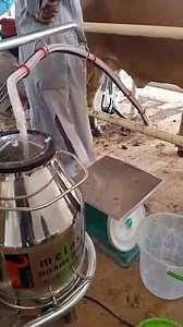 Milking machine with two milking ports | K-F Agro Tech And Agro Service | Facebook