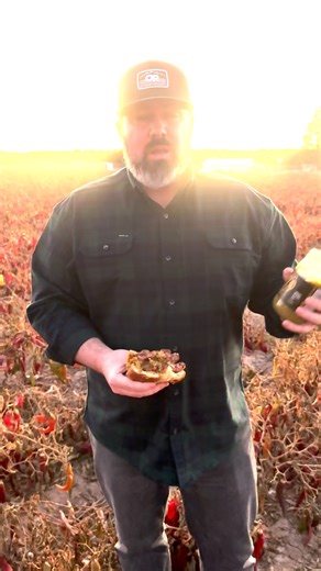 375K views · 16K reactions | ️ Hey, I’m Chris with Fresh Chile. Real chile comes from the 575, not the 505! Certified by Hatch farmers right here in Hatch, NM—accept no substitutes! We guarantee it’s that good (and we know you won’t be asking for a refund ) | Fresh Chile | Facebook