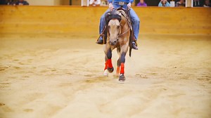 326K views · 10K reactions | The MVP label is your guarantee of science-based, performance-driven, equine supplements. | MVP | Facebook