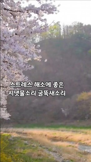 스트레스 해소에 딱좋은 시냇물소리, 굴뚝새소리 #새소리 #물소리 #휴식 #break #bird sound #water sound