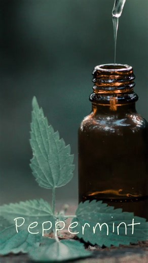 Step into a world of tranquility and serenity. Explore our beautiful massage rooms designed to enhance your relaxation experience. #MassageRooms #Serenity #charlottenc #southendclt #southendcharlotte #MassageTherapy #villagesatsouthend #ExpertHands #