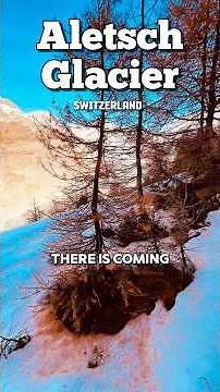 The Silent Giant of the Alps – Aletsch Glacier #AletschGlacier #NatureWonder #swisstourism