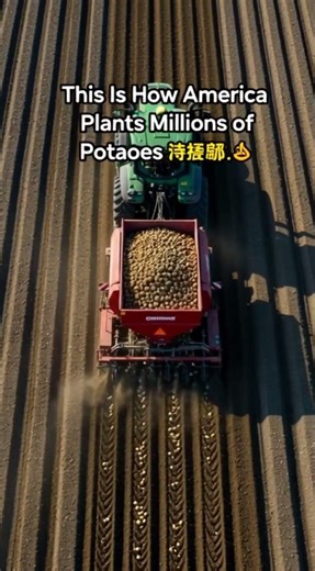 How America Plants Millions of Potatoes 🇺🇸🥔 | Smart Farming Machines