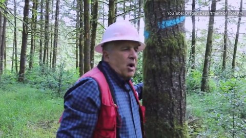 The meaning behind the orange paint you find on trees