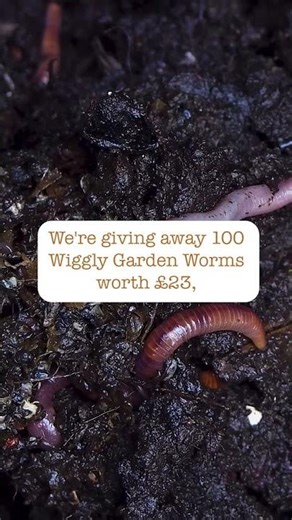 🌱 Want healthier, happier soil? 🌱