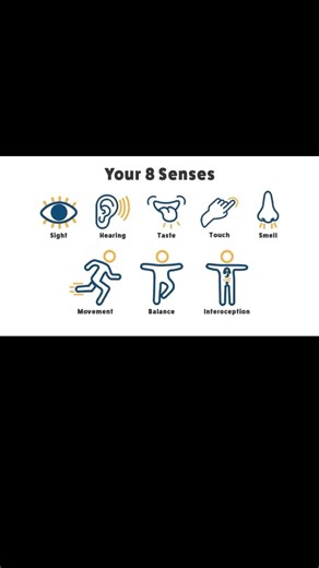 You Have Seven Bodies | A Basic Explanation of the Subtle Energy Bodies of a Human | Pt. 7