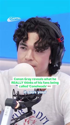 Calling all coneheads... do you agree with Conan Gray’s theory?