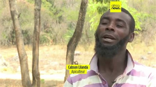 Zambie : des apiculteurs formés à la préservation de l'environnement