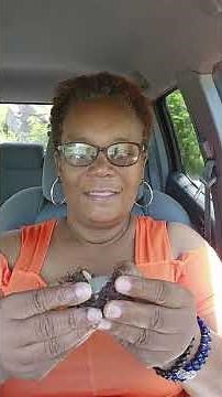 Trying Rambutan Fruit For The First Time 👍. How To Eat Rambutan Fruit