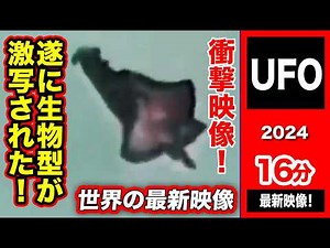 「世界のUFO映像最新2024」＜16分＞の生物型UAOが激撮される！すでに侵略開始か？その他驚きの詳細がわかるUFO映像収録！最後まで必見の映像！見逃さないで！【YOYO555MAX】