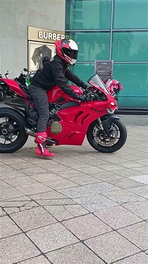DUCATI PANIGALE V4R HARALD ARKAN