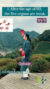 175K views · 5.9K reactions | Exercise tai chi daily fully remove root causes and Improve symptoms. Follow for more useful and healthy tai chi practices. #taichi #wudang #wudangkungfu #wudangtaiji #太极 #relax #relaxation #chineseculture #fyp #foryou #TCM #health #exercise #healthylifestyle #fiveelements #qigong #exercisetips #fitnessmotivation #WellnessJourney #fitnessinspiration | Tai Chi for Beginners | Facebook