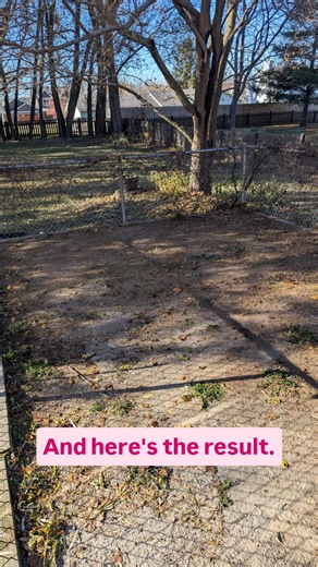 This dog run had layers—leaves, hidden piles, and more leaves. We cleared the poop, removed the soiled spots, gathered the dry leaves, sanitized everything, and brought this dog run back to life. Premium cleanup. Real results. #Pooptopia #DogRunCleanup #DogWasteRemoval #BeforeAndAfter #KenoshaDogs #RacineDogs #LakeCountyIL #DogParents #YardSanitizing #PetSafeYard #ProfessionalCleanup #DogBusiness #PoopPickupService #PremiumPetCare | Pooptopia