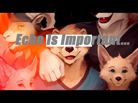 Echo Is Important...
